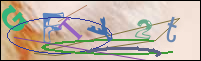 Registration Image