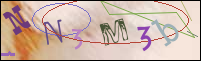 Registration Image